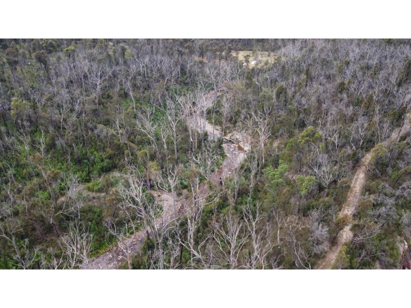 342 Murrabrine Forest Road, Cobargo NSW 2550