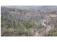 342 Murrabrine Forest Road, Cobargo NSW 2550