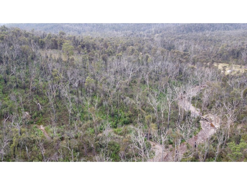 342 Murrabrine Forest Road, Cobargo NSW 2550