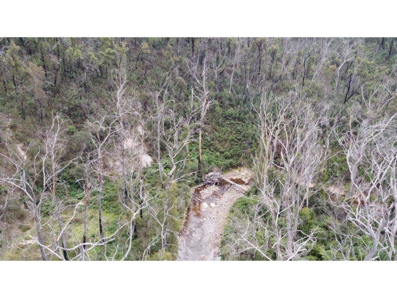 342 Murrabrine Forest Road, Cobargo NSW 2550
