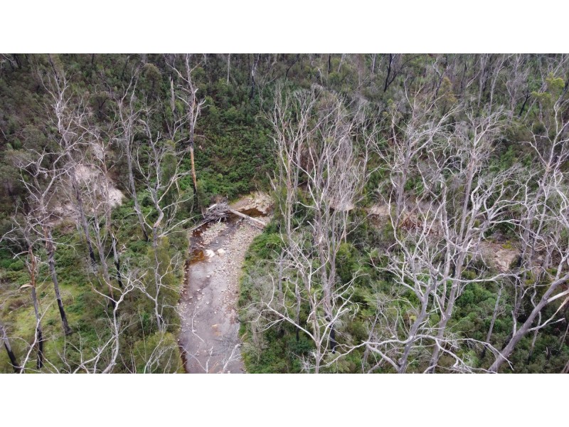342 Murrabrine Forest Road, Cobargo NSW 2550