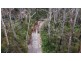 342 Murrabrine Forest Road, Cobargo NSW 2550