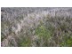 342 Murrabrine Forest Road, Cobargo NSW 2550