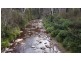 342 Murrabrine Forest Road, Cobargo NSW 2550