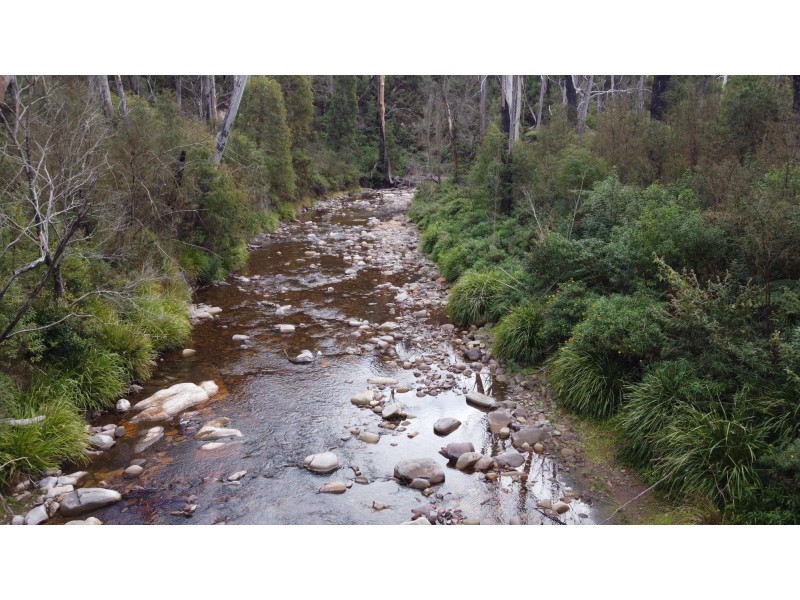 342 Murrabrine Forest Road, Cobargo NSW 2550