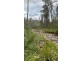 342 Murrabrine Forest Road, Cobargo NSW 2550