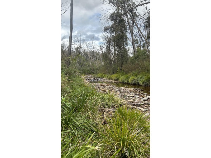 342 Murrabrine Forest Road, Cobargo NSW 2550