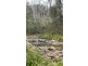 342 Murrabrine Forest Road, Cobargo NSW 2550