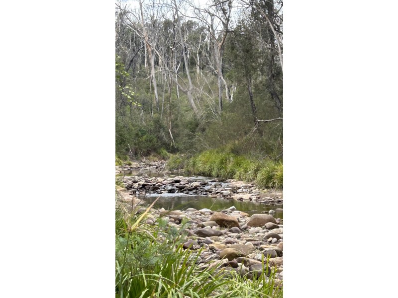 342 Murrabrine Forest Road, Cobargo NSW 2550