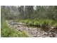 342 Murrabrine Forest Road, Cobargo NSW 2550