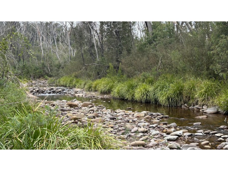 342 Murrabrine Forest Road, Cobargo NSW 2550