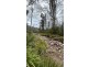342 Murrabrine Forest Road, Cobargo NSW 2550