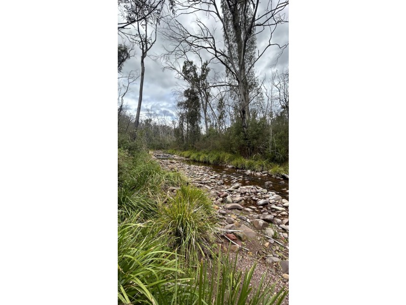 342 Murrabrine Forest Road, Cobargo NSW 2550