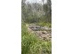 342 Murrabrine Forest Road, Cobargo NSW 2550