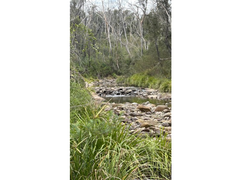 342 Murrabrine Forest Road, Cobargo NSW 2550
