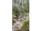 342 Murrabrine Forest Road, Cobargo NSW 2550