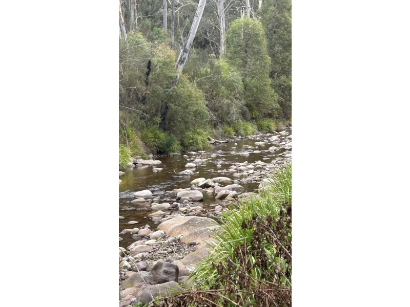 342 Murrabrine Forest Road, Cobargo NSW 2550