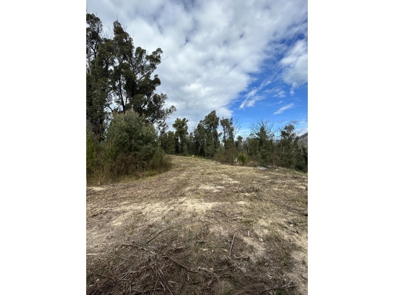 342 Murrabrine Forest Road, Cobargo NSW 2550
