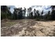 342 Murrabrine Forest Road, Cobargo NSW 2550