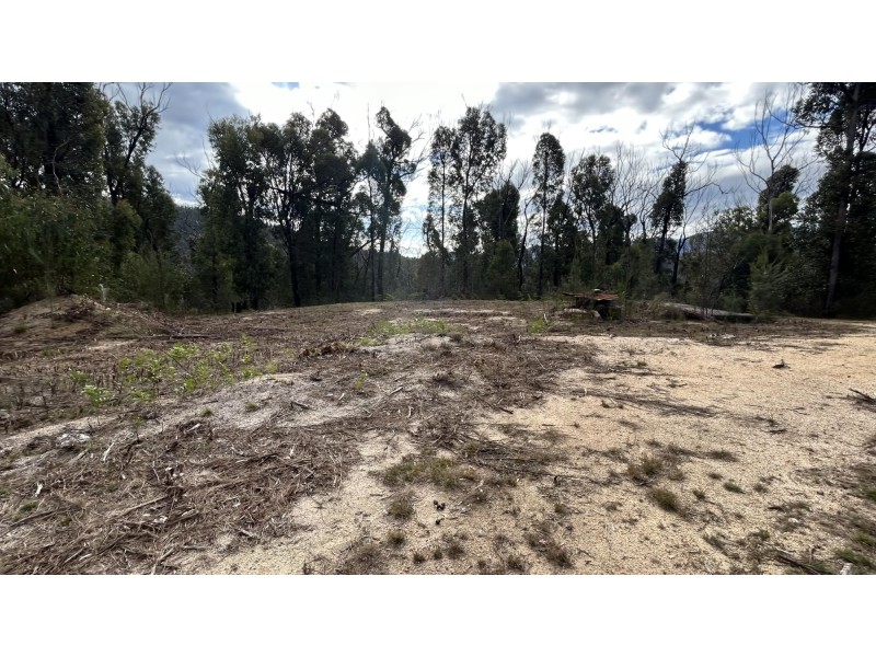 342 Murrabrine Forest Road, Cobargo NSW 2550
