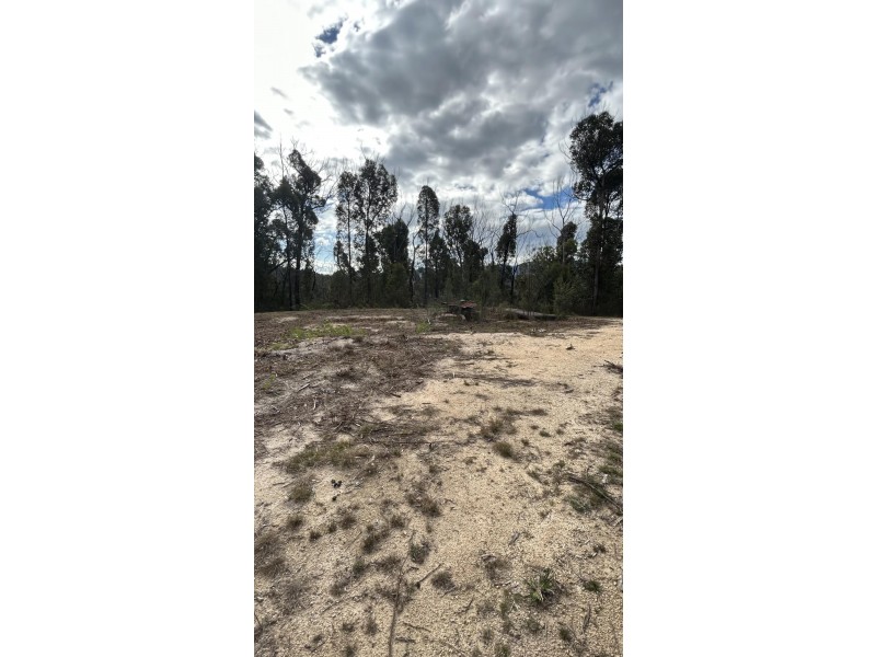 342 Murrabrine Forest Road, Cobargo NSW 2550