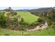 622 New Buildings Rd, Wyndham NSW 2550