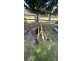 123 Dummett Jessops Road, Verona NSW 2550