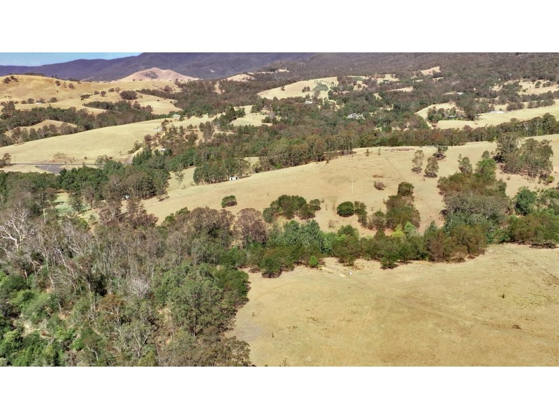 3644 Snowy Mountains Highway, Bemboka NSW 2550
