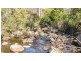 3644 Snowy Mountains Highway, Bemboka NSW 2550