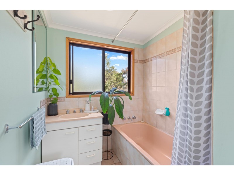103 Kemps Lane, Candelo NSW 2550