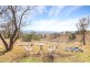 103 Kemps Lane, Candelo NSW 2550