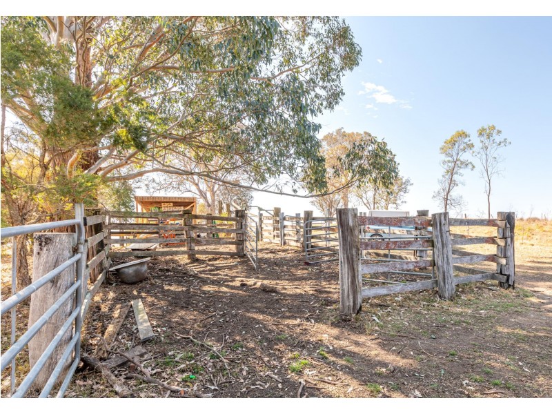103 Kemps Lane, Candelo NSW 2550