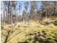 798 Yankees Gap Road, Bemboka NSW 2550