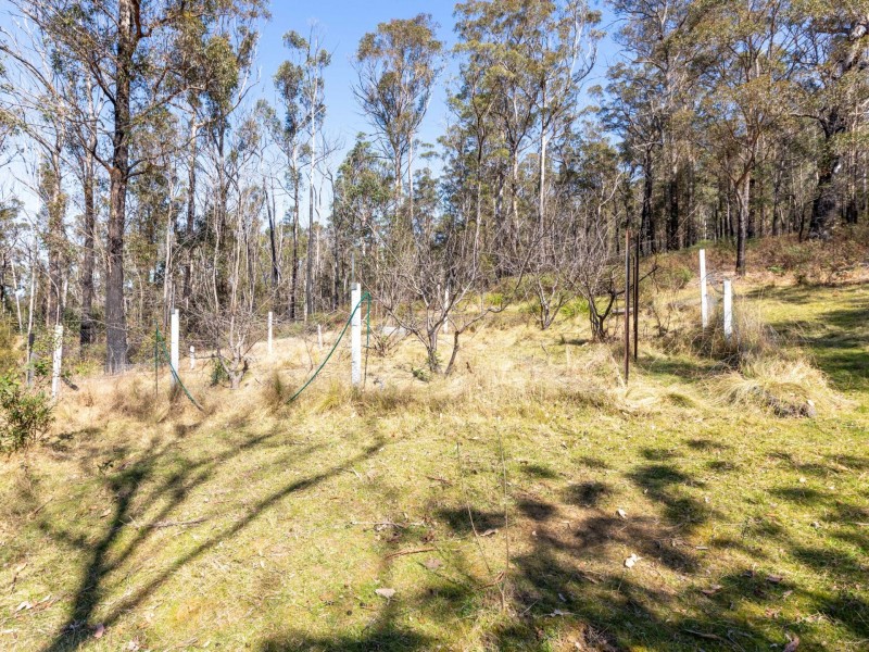 798 Yankees Gap Road, Bemboka NSW 2550