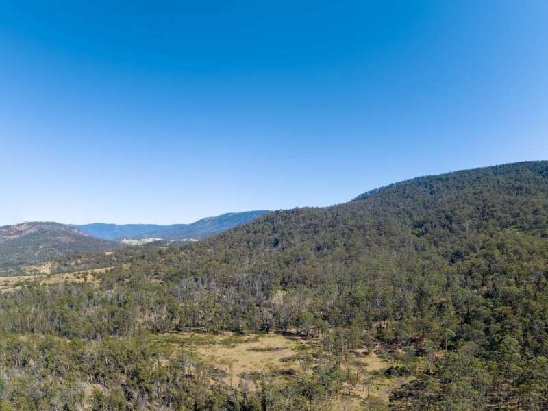 798 Yankees Gap Road, Bemboka NSW 2550