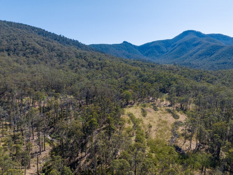 798 Yankees Gap Road, Bemboka NSW 2550