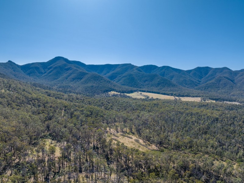 798 Yankees Gap Road, Bemboka NSW 2550