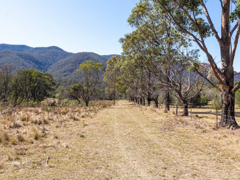 Lot 41 Yankees Gap Road, Bemboka NSW 2550