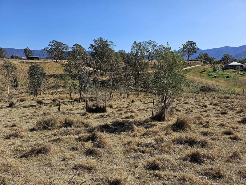 113 Geraghty Street, Bemboka NSW 2550