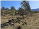 113 Geraghty Street, Bemboka NSW 2550