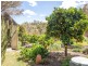 179 Hawks Head Road, Brogo NSW 2550