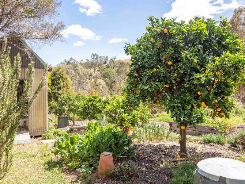 179 Hawks Head Road, Brogo NSW 2550
