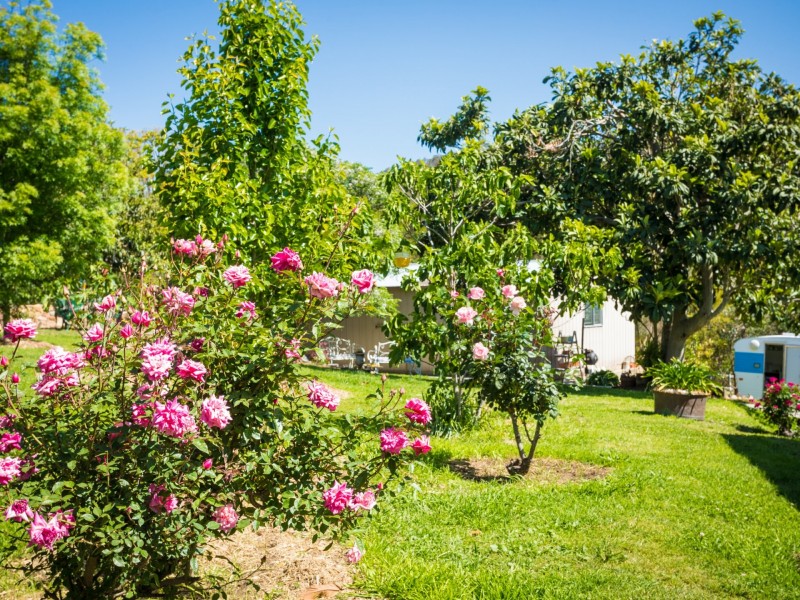 19 Cobargo Bermagui Road, Cobargo NSW 2550