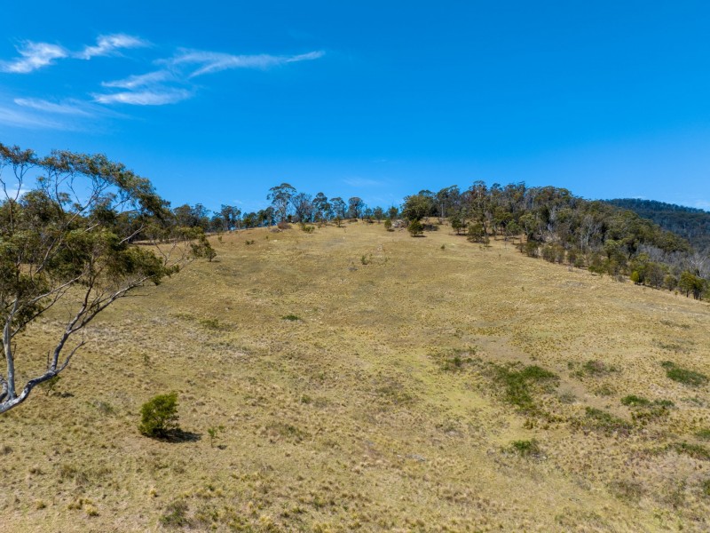 Lot 44 Mount Darragh Road, Wyndham NSW 2550