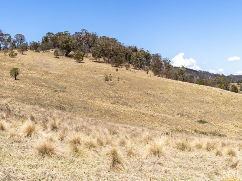Lot 44 Mount Darragh Road, Wyndham NSW 2550