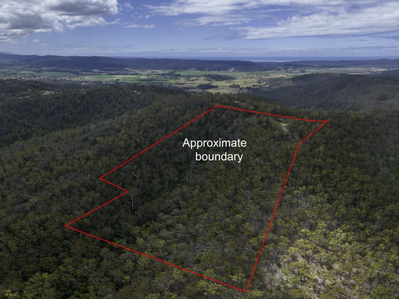 440 Black Range Road, Bega NSW 2550