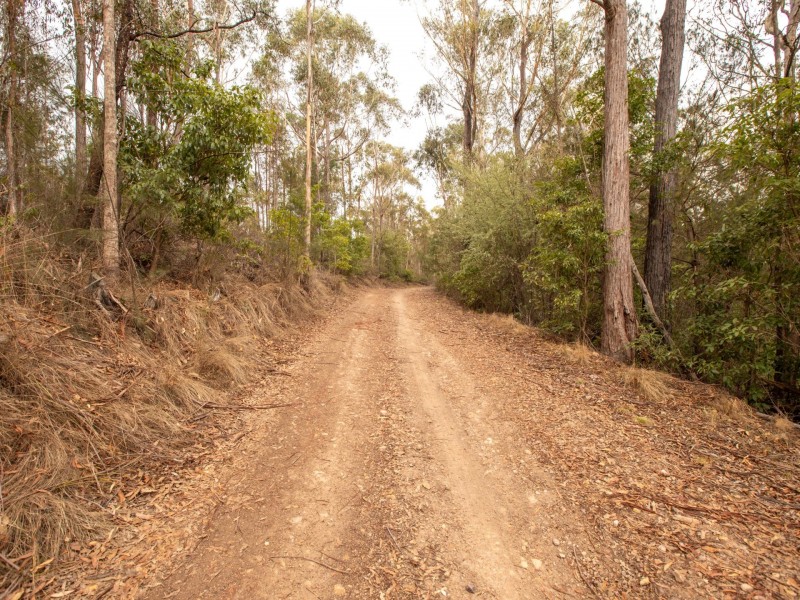 440 Black Range Road, Bega NSW 2550
