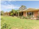 116 Hawks Head Road, Brogo NSW 2550