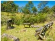 49 Buckleys Ridge Road, Bemboka NSW 2550