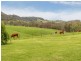 294 Polacks Flat Road, Bemboka NSW 2550